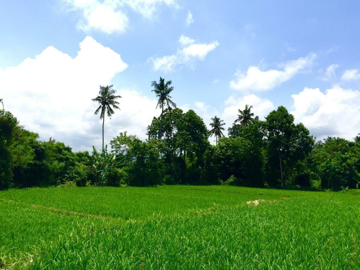 Villa Santai Ubud Buitenkant foto